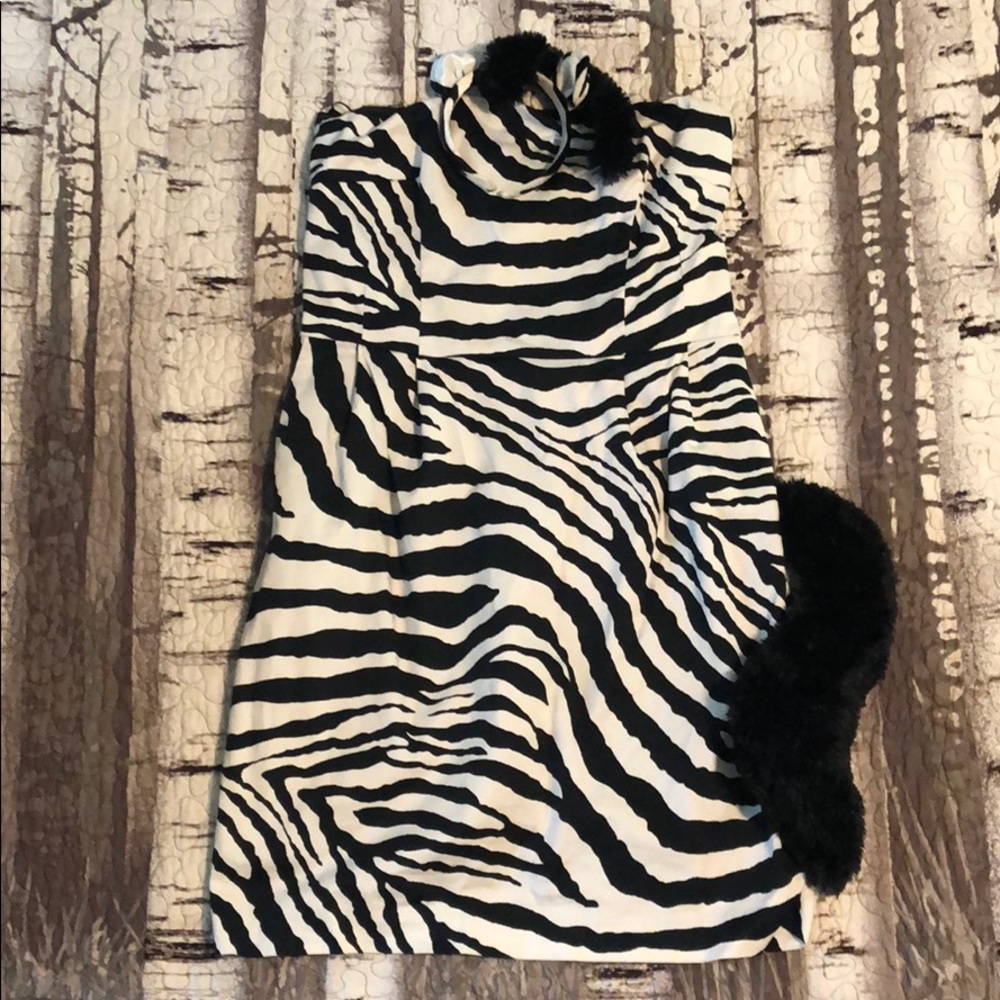 Zebra dress/costume